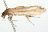 ( - 09BBLEP-02905)  @13 [ ] CreativeCommons - Attribution (2009) Unspecified Centre for Biodiversity Genomics