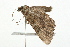  ( - 09BBLEP-02918)  @14 [ ] CreativeCommons - Attribution (2009) Unspecified Centre for Biodiversity Genomics
