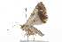  ( - 09BBLEP-02922)  @12 [ ] CreativeCommons - Attribution (2009) Unspecified Centre for Biodiversity Genomics