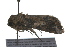  ( - 09BBLEP-02045)  @12 [ ] CreativeCommons - Attribution (2009) Unspecified Centre for Biodiversity Genomics