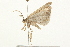  ( - 09BBLEP-02930)  @13 [ ] CreativeCommons - Attribution (2009) Unspecified Centre for Biodiversity Genomics