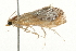  ( - 09BBLEP-02942)  @12 [ ] CreativeCommons - Attribution (2009) Unspecified Centre for Biodiversity Genomics