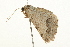  ( - 09BBLEP-03058)  @13 [ ] CreativeCommons - Attribution (2009) Unspecified Centre for Biodiversity Genomics