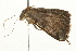 ( - 09BBLEP-03069)  @13 [ ] CreativeCommons - Attribution (2009) Unspecified Centre for Biodiversity Genomics