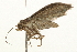  ( - 09BBLEP-03070)  @13 [ ] CreativeCommons - Attribution (2009) Unspecified Centre for Biodiversity Genomics