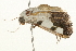  ( - 09BBLEP-03087)  @12 [ ] CreativeCommons - Attribution (2009) Unspecified Centre for Biodiversity Genomics