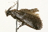  ( - 09BBLEP-03138)  @12 [ ] CreativeCommons - Attribution (2009) Unspecified Centre for Biodiversity Genomics