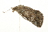  ( - 09BBLEP-03147)  @12 [ ] CreativeCommons - Attribution (2009) Unspecified Centre for Biodiversity Genomics