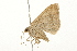  ( - 09BBLEP-03180)  @13 [ ] CreativeCommons - Attribution (2009) Unspecified Centre for Biodiversity Genomics