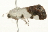  ( - 09BBLEP-03181)  @12 [ ] CreativeCommons - Attribution (2009) Unspecified Centre for Biodiversity Genomics
