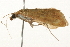  ( - 09BBLEP-03208)  @13 [ ] CreativeCommons - Attribution (2009) Unspecified Centre for Biodiversity Genomics