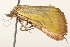  ( - 09BBLEP-03211)  @12 [ ] CreativeCommons - Attribution (2009) Unspecified Centre for Biodiversity Genomics