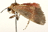  ( - 09BBLEP-03215)  @11 [ ] CreativeCommons - Attribution (2009) Unspecified Centre for Biodiversity Genomics