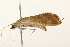  ( - 09BBLEP-03218)  @13 [ ] CreativeCommons - Attribution (2009) Unspecified Centre for Biodiversity Genomics