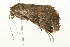  ( - 09BBLEP-03257)  @12 [ ] CreativeCommons - Attribution (2009) Unspecified Centre for Biodiversity Genomics
