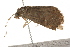  ( - 09BBLEP-03290)  @12 [ ] CreativeCommons - Attribution (2009) Unspecified Centre for Biodiversity Genomics