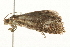  ( - 09BBLEP-03368)  @12 [ ] CreativeCommons - Attribution (2009) Unspecified Centre for Biodiversity Genomics