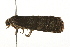  ( - 09BBLEP-03387)  @12 [ ] CreativeCommons - Attribution (2009) Unspecified Centre for Biodiversity Genomics