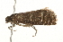  ( - 09BBLEP-03391)  @12 [ ] CreativeCommons - Attribution (2009) Unspecified Centre for Biodiversity Genomics