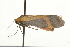  ( - 09BBLEP-03668)  @12 [ ] CreativeCommons - Attribution (2009) Unspecified Centre for Biodiversity Genomics