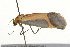  ( - 09BBLEP-03669)  @12 [ ] CreativeCommons - Attribution (2009) Unspecified Centre for Biodiversity Genomics