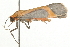  ( - 09BBLEP-03685)  @12 [ ] CreativeCommons - Attribution (2009) Unspecified Centre for Biodiversity Genomics