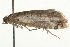  ( - 09BBLEP-03707)  @13 [ ] CreativeCommons - Attribution (2009) Unspecified Centre for Biodiversity Genomics