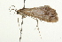  ( - 09BBLEP-03731)  @13 [ ] CreativeCommons - Attribution (2009) Unspecified Centre for Biodiversity Genomics