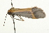  ( - 09BBLEP-03750)  @12 [ ] CreativeCommons - Attribution (2009) Unspecified Centre for Biodiversity Genomics