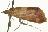  ( - 09BBLEP-03832)  @13 [ ] CreativeCommons - Attribution (2009) Unspecified Centre for Biodiversity Genomics