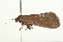  ( - 09BBLEP-03848)  @12 [ ] CreativeCommons - Attribution (2009) Unspecified Centre for Biodiversity Genomics