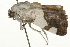  ( - 09BBLEP-03864)  @14 [ ] CreativeCommons - Attribution (2009) Unspecified Centre for Biodiversity Genomics