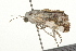  ( - 09BBLEP-03865)  @12 [ ] CreativeCommons - Attribution (2009) Unspecified Centre for Biodiversity Genomics