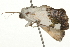  ( - 09BBLEP-03866)  @12 [ ] CreativeCommons - Attribution (2009) Unspecified Centre for Biodiversity Genomics