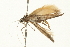  ( - 09BBLEP-04020)  @12 [ ] CreativeCommons - Attribution (2009) Unspecified Centre for Biodiversity Genomics