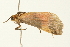  ( - 09BBLEP-04034)  @12 [ ] CreativeCommons - Attribution (2009) Unspecified Centre for Biodiversity Genomics