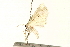  ( - 09BBLEP-04071)  @14 [ ] CreativeCommons - Attribution (2009) Unspecified Centre for Biodiversity Genomics