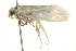  ( - 09BBLEP-04191)  @12 [ ] CreativeCommons - Attribution (2009) Unspecified Centre for Biodiversity Genomics