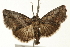  ( - 09BBLEP-04273)  @13 [ ] CreativeCommons - Attribution (2009) Unspecified Centre for Biodiversity Genomics