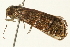  ( - 09BBLEP-04282)  @12 [ ] CreativeCommons - Attribution (2009) Unspecified Centre for Biodiversity Genomics