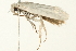  ( - 09BBLEP-04287)  @12 [ ] CreativeCommons - Attribution (2009) Unspecified Centre for Biodiversity Genomics