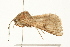  ( - 09BBLEP-04339)  @12 [ ] CreativeCommons - Attribution (2009) Unspecified Centre for Biodiversity Genomics
