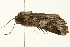  ( - 09BBLEP-04352)  @12 [ ] CreativeCommons - Attribution (2009) Unspecified Centre for Biodiversity Genomics