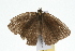  ( - 09BBLEP-04913)  @12 [ ] CreativeCommons - Attribution (2009) Unspecified Centre for Biodiversity Genomics