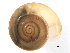  ( - BIOUG13626-A10)  @13 [ ] CreativeCommons - Attribution (2014) CBG Photography Group Centre for Biodiversity Genomics