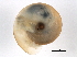  ( - BIOUG13626-A11)  @12 [ ] CreativeCommons - Attribution (2014) CBG Photography Group Centre for Biodiversity Genomics