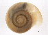  ( - BIOUG13626-A11)  @14 [ ] CreativeCommons - Attribution (2014) CBG Photography Group Centre for Biodiversity Genomics