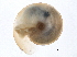  ( - BIOUG13626-A12)  @13 [ ] CreativeCommons - Attribution (2014) CBG Photography Group Centre for Biodiversity Genomics