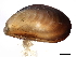  ( - BIOUG00774-G04)  @14 [ ] CreativeCommons - Attribution (2011) CBG Photography Group Centre for Biodiversity Genomics