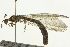  ( - BIOUG02806-E07)  @13 [ ] CreativeCommons - Attribution (2013) CBG Photography Group Centre for Biodiversity Genomics
